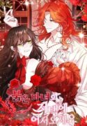 Welcome to the red witches mansion